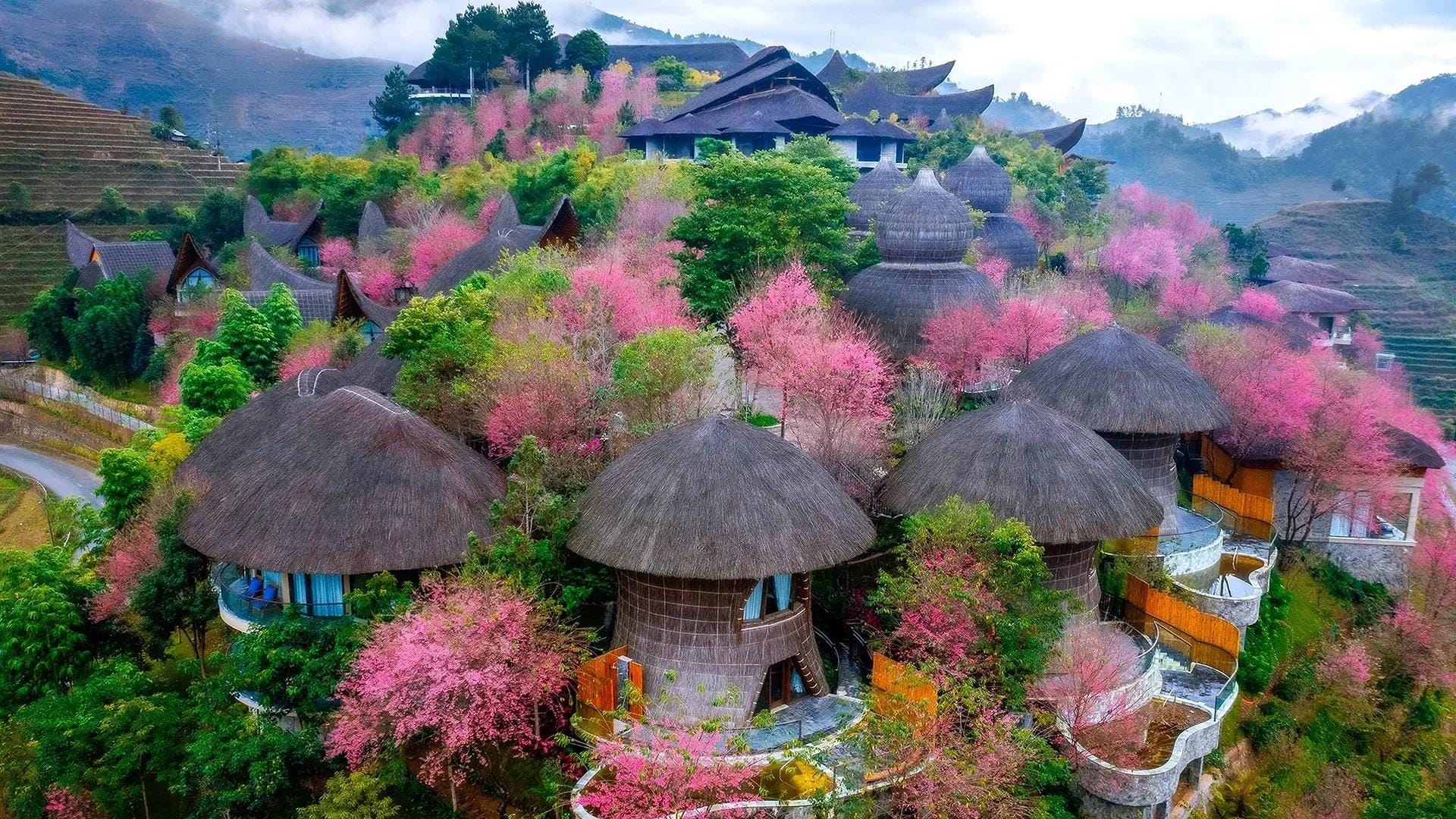 Vietnam rice terrace retreat