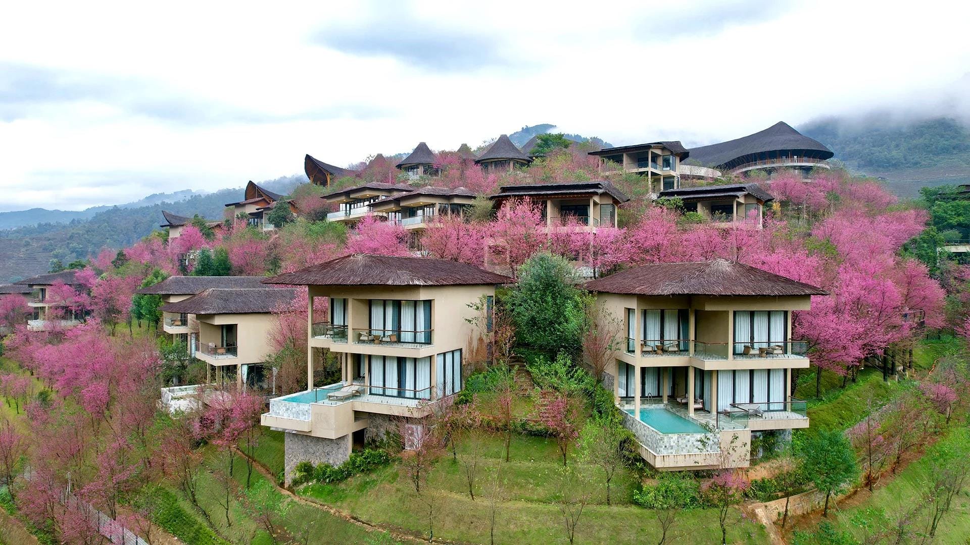 Vietnam rice terrace retreat