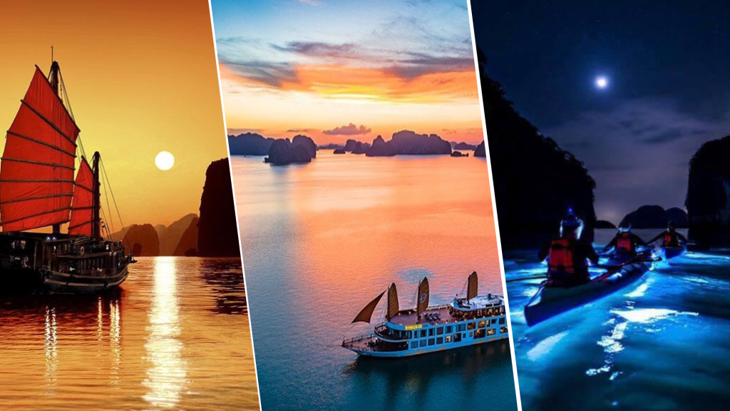 Cat Ba Plankton Tour