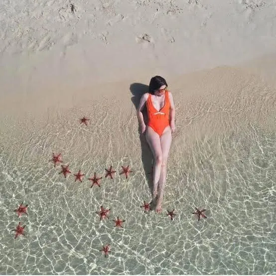 Red starfish on the white sand of Rach Vem Starfish Beach